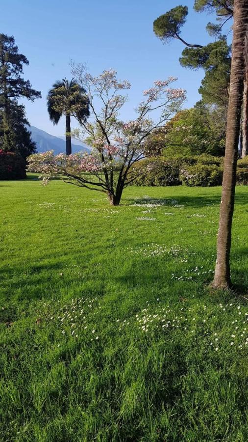 Nona Lakeside Apt At Patrician Villa Bellagio Dış mekan fotoğraf